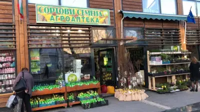 Сортови семена България