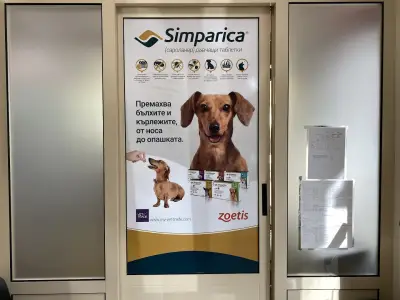Ветеринарен център "ХомеоВет" / HomeoVet veterinary service