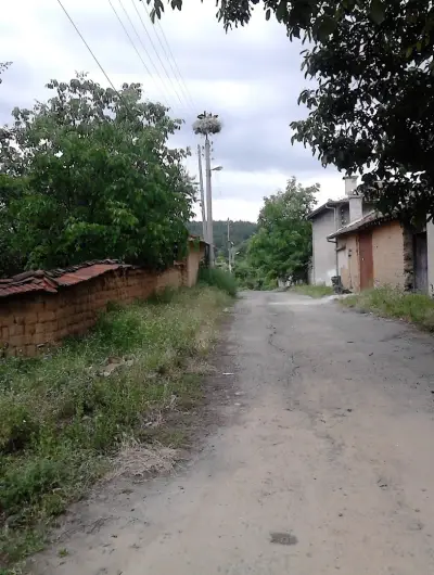 Popovi Koshari Guest house