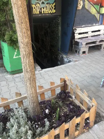 Трип Хаус