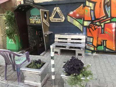 Трип Хаус