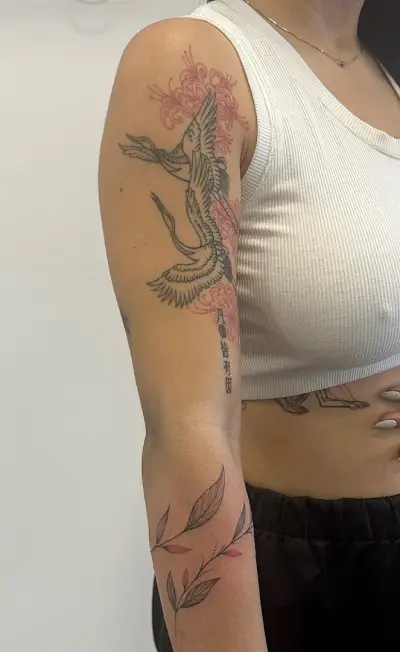 ТАТТОО Studio "Bird" Pomorie