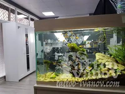 Tattoo Ivanov