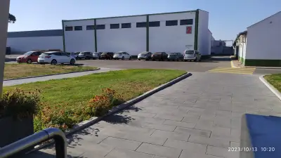 ПАЛИРРИЯ БЪЛГАРИЯ