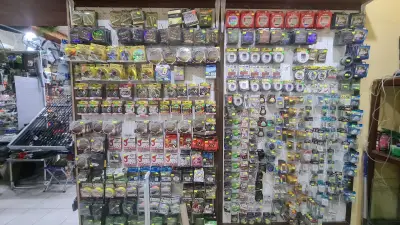 BG Fishing