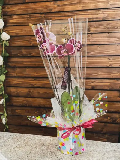 Sert Flowers
