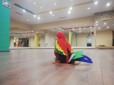 Палетро денс спот