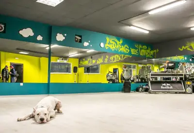 House of Connection - street dance school