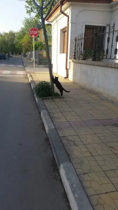 Загора Транс