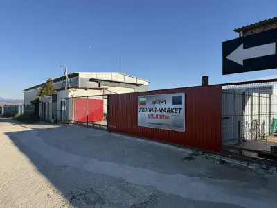 Fishing Market