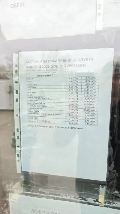 Фишери 2009
