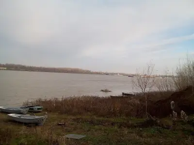 Рибна Борса