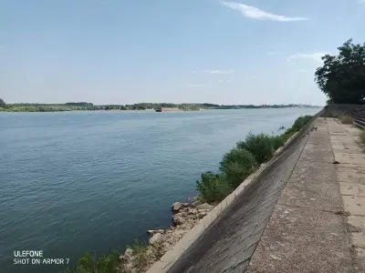 Рибна Борса