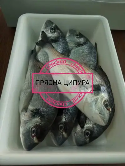Рибен магазин,, Амур"