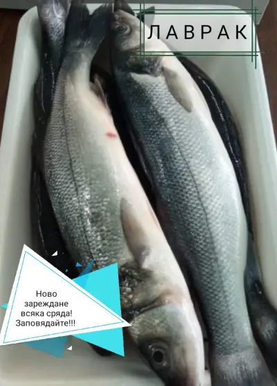 Рибен магазин,, Амур"