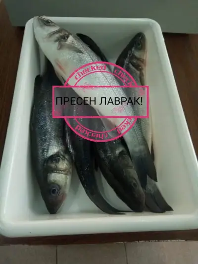 Рибен магазин,, Амур"
