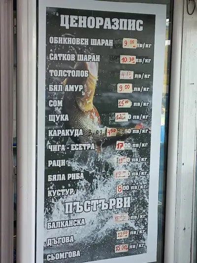 Рибна Борса Труд