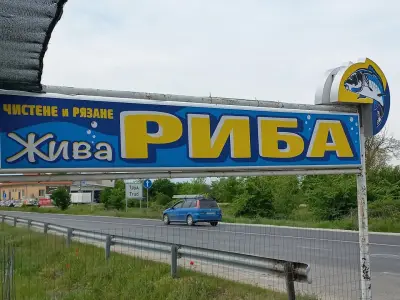Рибна Борса Труд