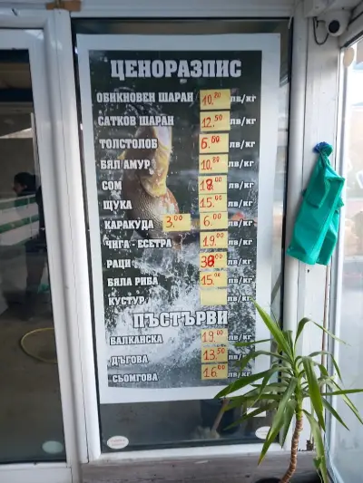 Рибна Борса Труд