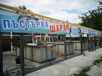Рибен магазин,рибна борса ,жива риба и рибни деликатеси(шаран,сом,пъстърва)