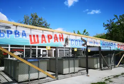 Рибен магазин,рибна борса ,жива риба и рибни деликатеси(шаран,сом,пъстърва)