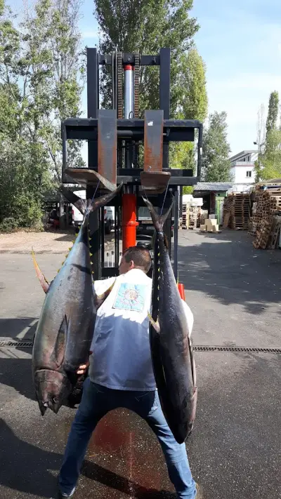 Морски Дар 09