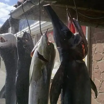 Fish market