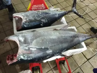 Fish market