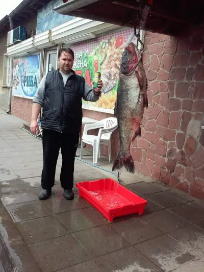 Fish market