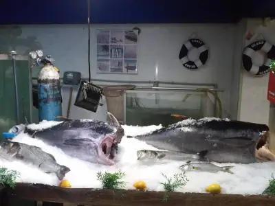 Fish market