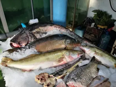 Fish market