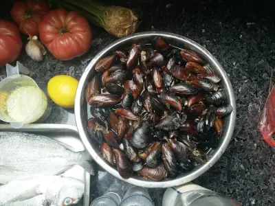 Морски дарове ООД