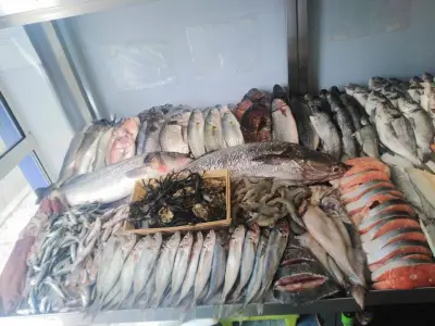 Морски Дар - Лозенец