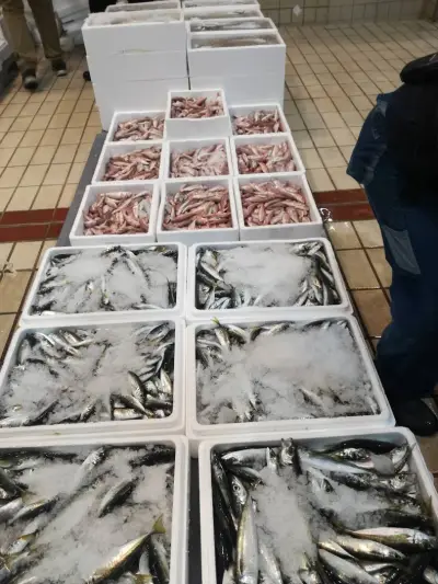 Fish Storе