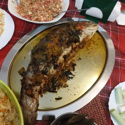 Морски Дар - Стамболийски