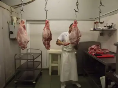 Магазини и транжорна за месо