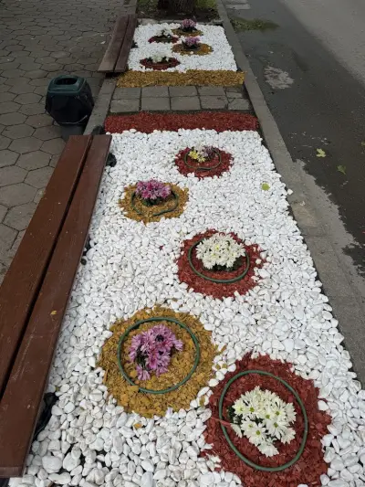 Тостерите на спортното