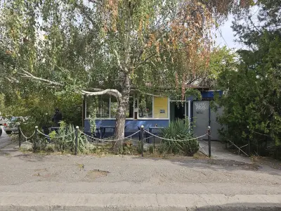 Бреза 2001