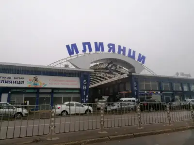 Мол Илиянци