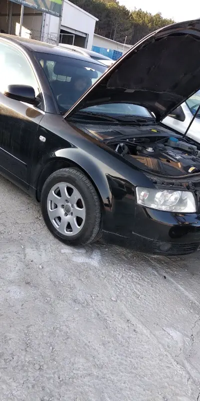 Ауто Шама