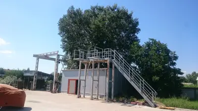 Алфа-М ЕООД