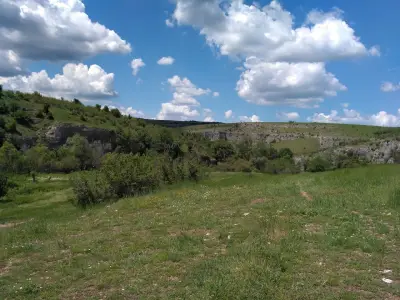 Годишни технически прегледи - Мери Транс 2000