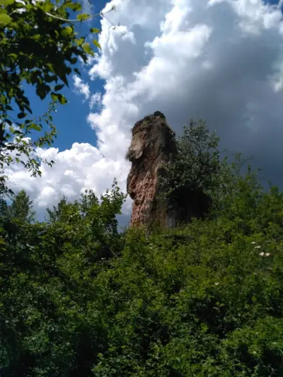 Годишни технически прегледи - Мери Транс 2000