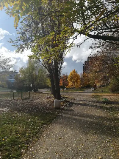 парк „Дамян Дамянов“