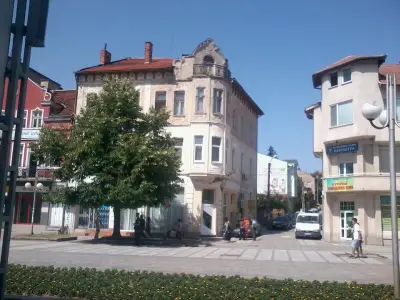 Митница Лом