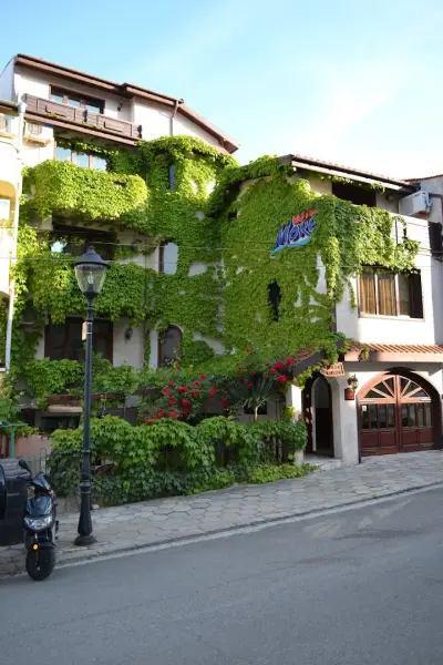 Family Hotel More