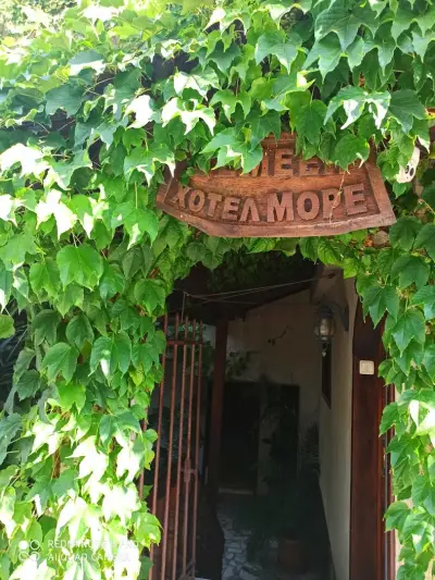 Family Hotel More