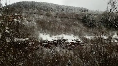 Гранд Своге