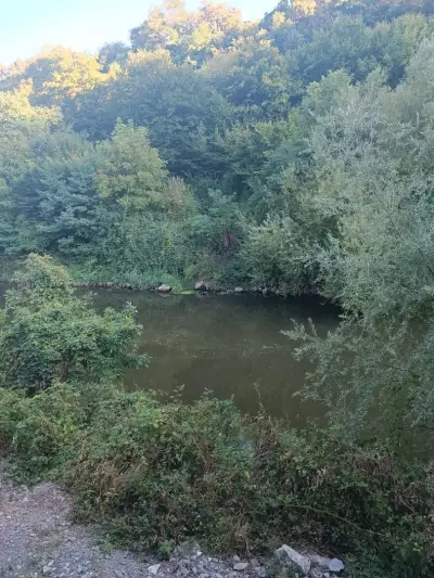 Гранд Своге