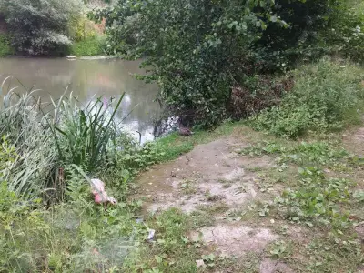 Гранд Своге